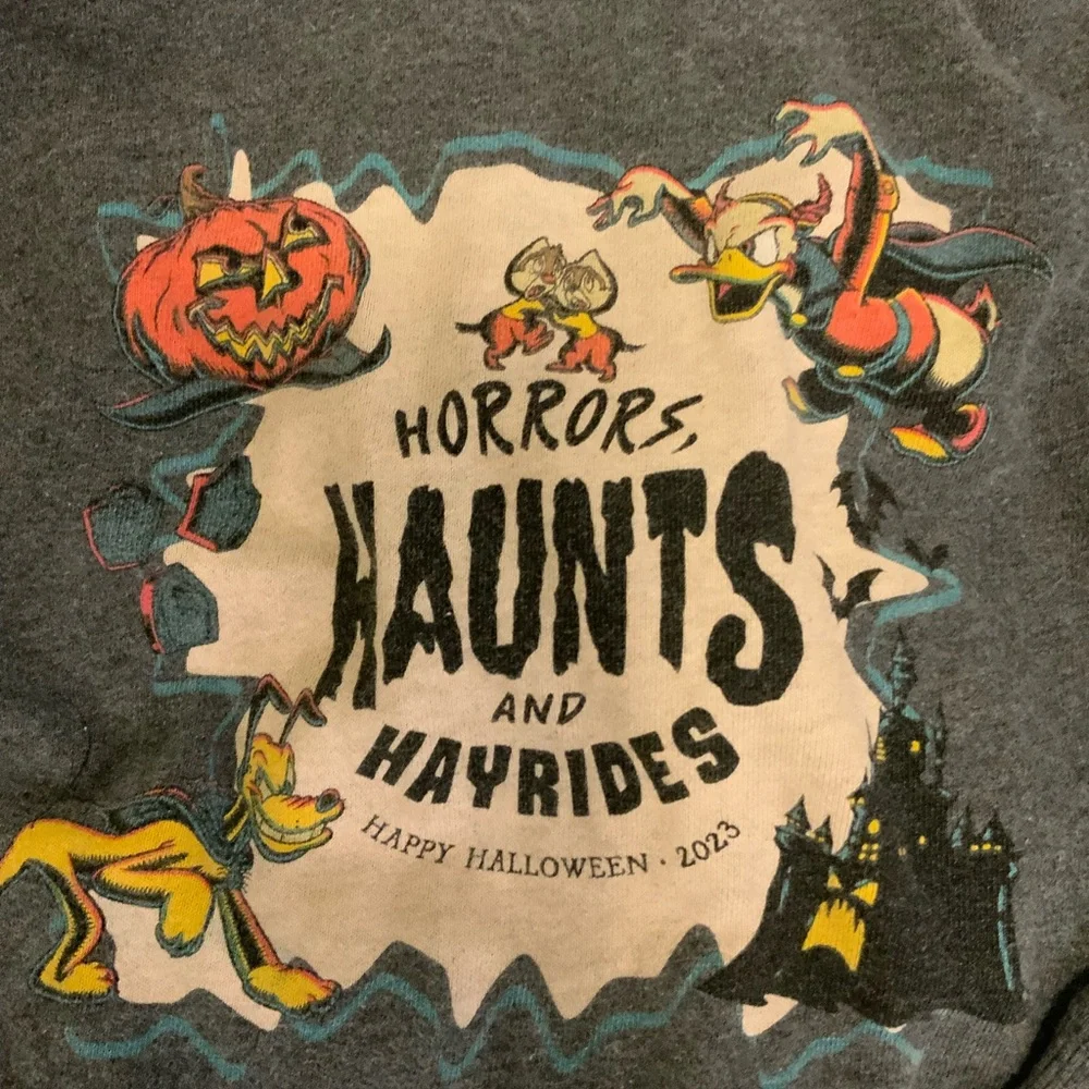 Disney product parks